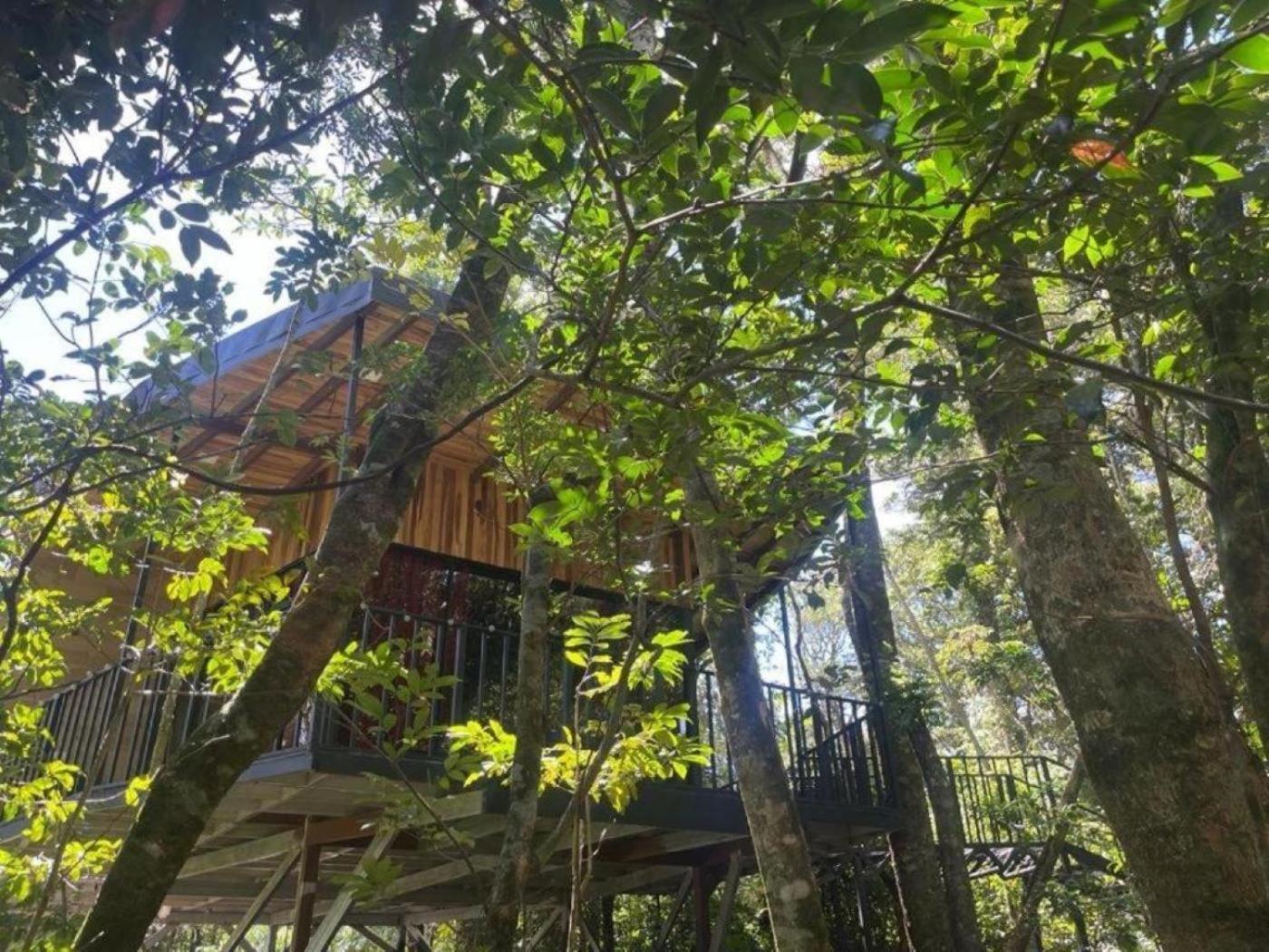 Roca Verde - Monteverde Cloud Forest Lodging エクステリア 写真