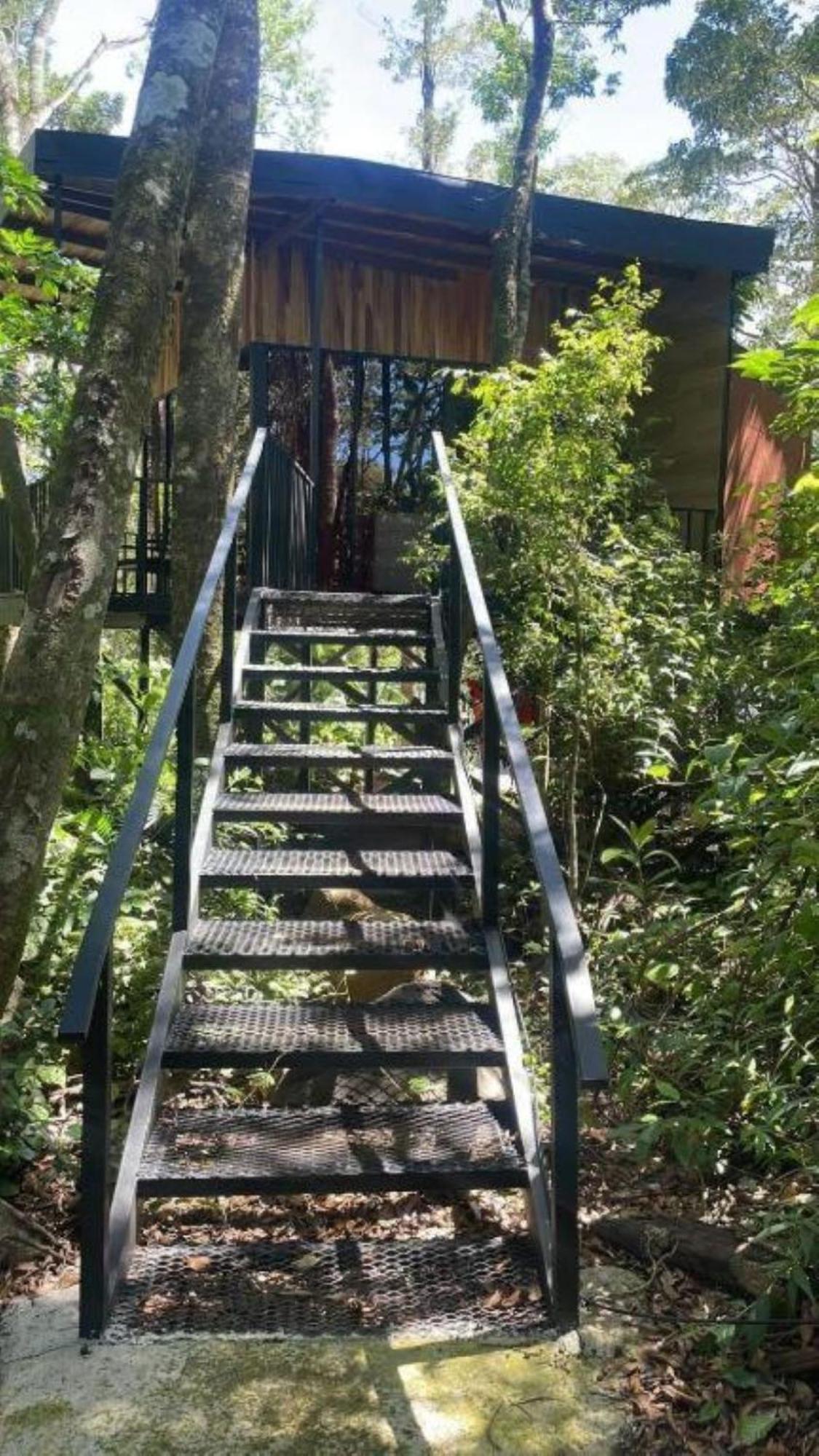 Roca Verde - Monteverde Cloud Forest Lodging エクステリア 写真